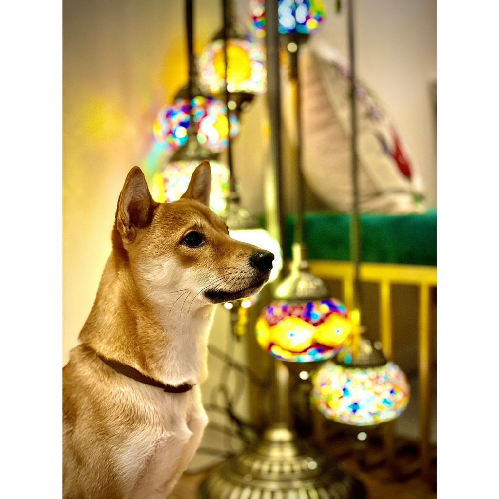 「台北」土耳其馬賽克燈工作室